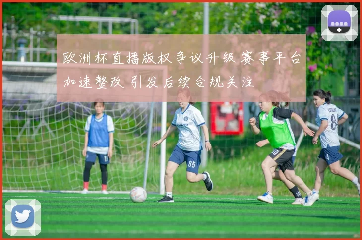 欧洲杯直播版权争议升级 赛事平台加速整改 引发后续合规关注