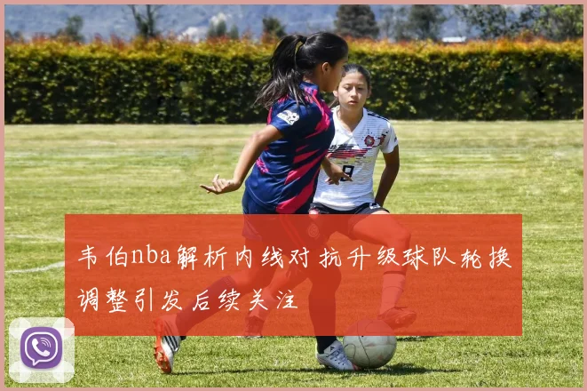 韦伯nba解析内线对抗升级球队轮换调整引发后续关注